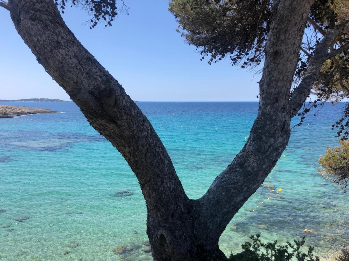 Apartament Les Baux 1 Sanary-sur-Mer Zewnętrze zdjęcie